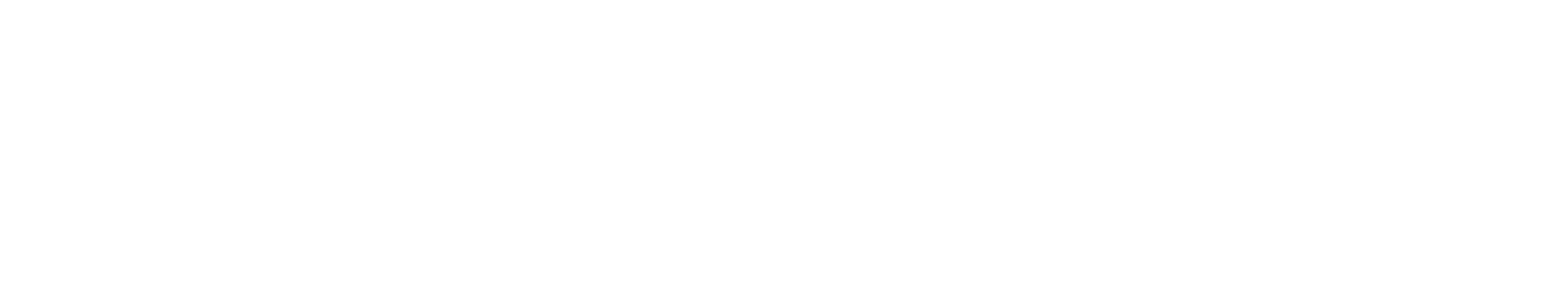 IP_Fabric_Logo_White_Transparent