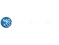 Intelligent Visibility White Logo